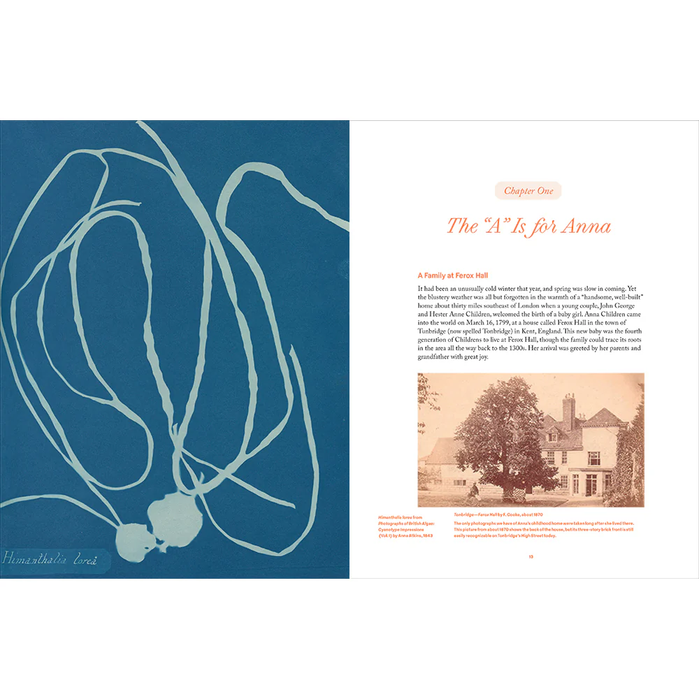Anna Atkins: Photographer, Naturalist, Innovator - Image 3