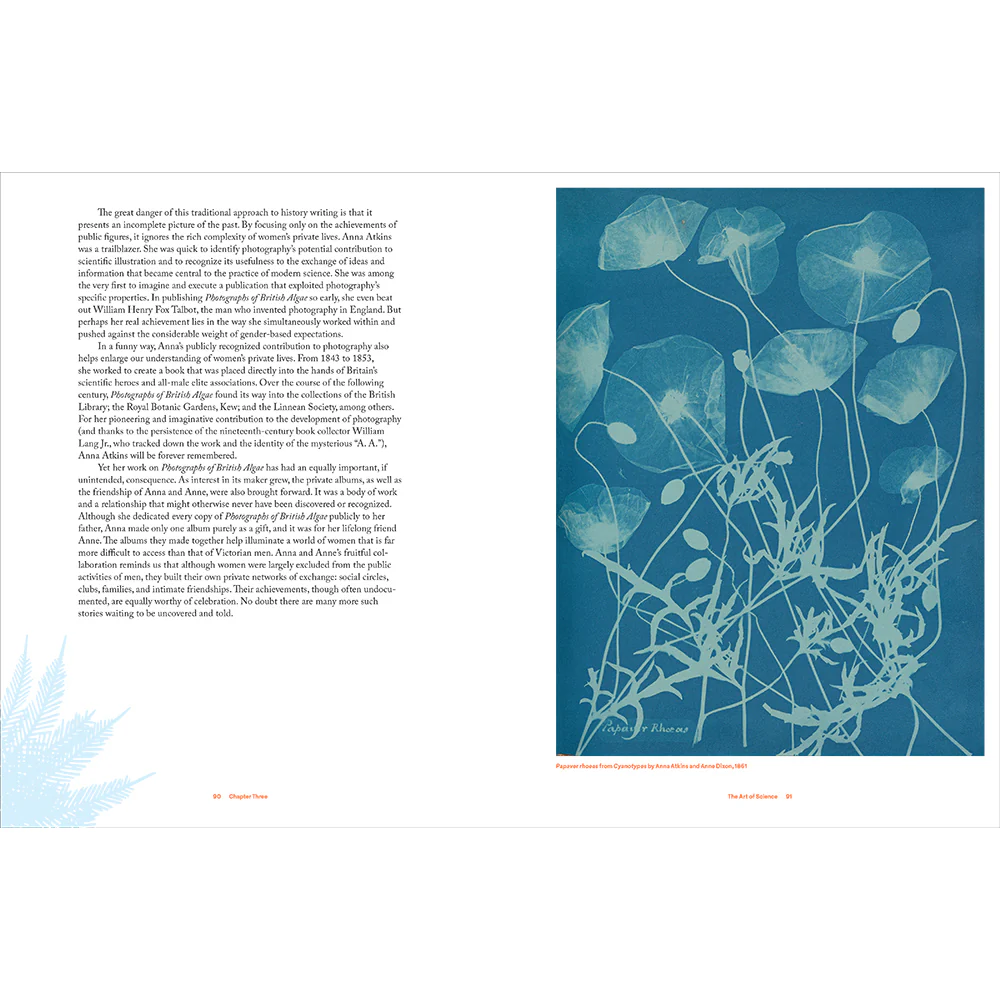 Anna Atkins: Photographer, Naturalist, Innovator - Image 6