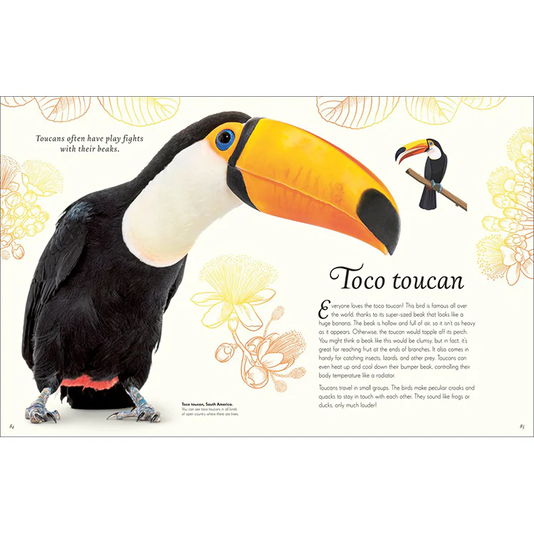 An Anthology of Exquisite Birds - Image 3