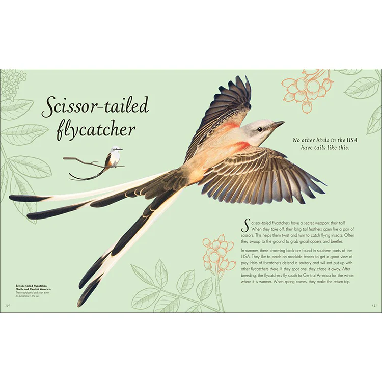 An Anthology of Exquisite Birds - Image 4