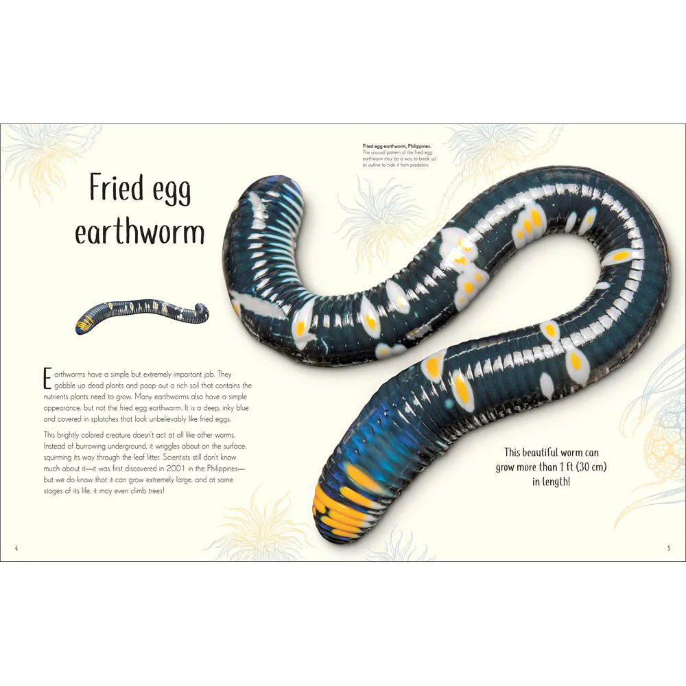 An Anthology of Remarkable Bugs - Image 2