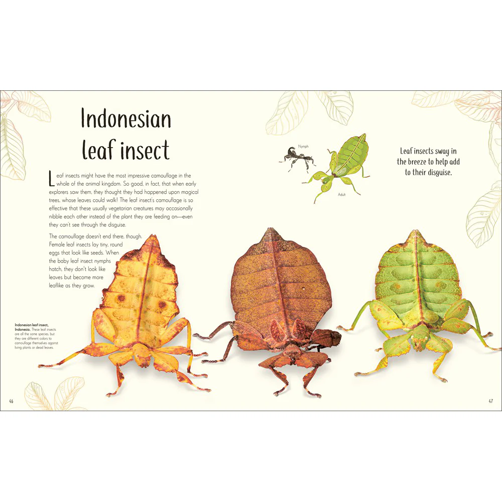 An Anthology of Remarkable Bugs - Image 3