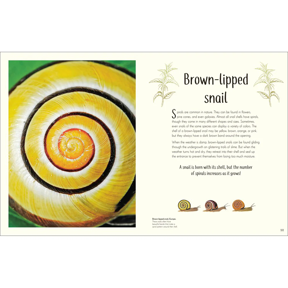 An Anthology of Remarkable Bugs - Image 4