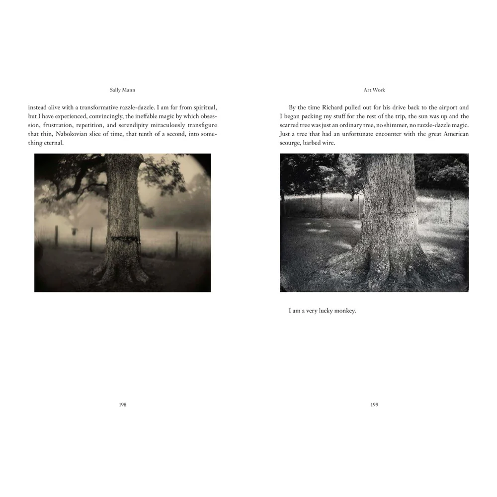 Art Work: On the Creative Life - Image 4