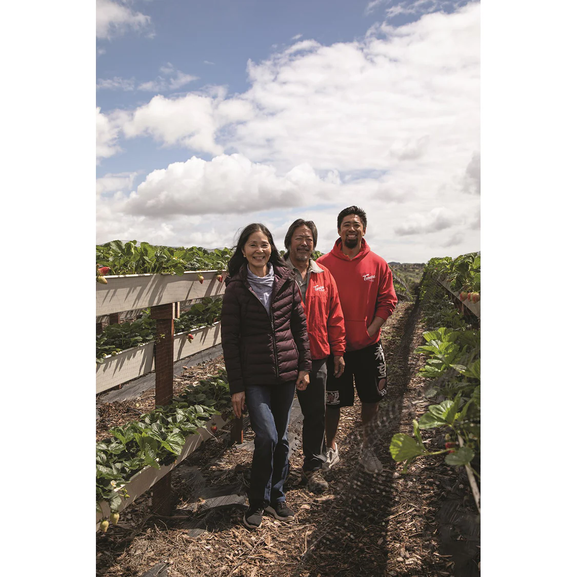 The California Farm Table Cookbook: 100 Recipes from the Golden State - Image 4
