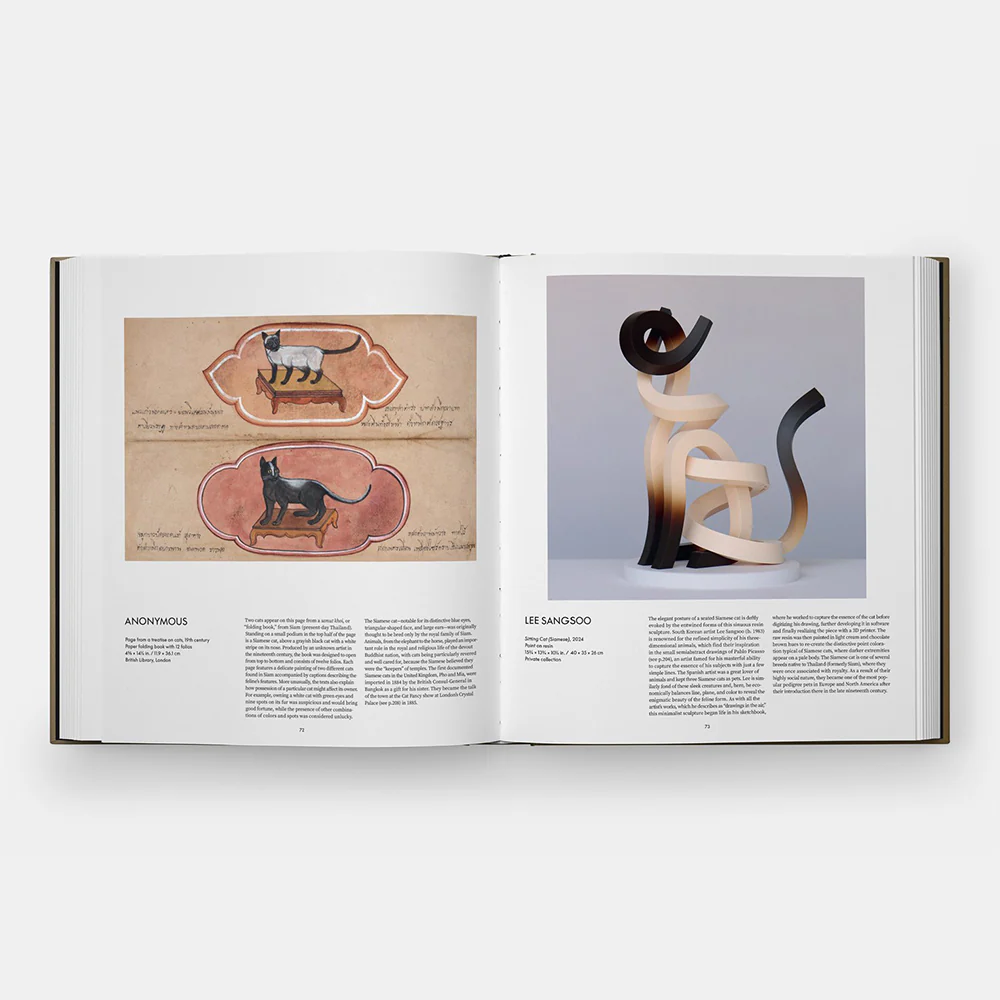 Cat - Image 4