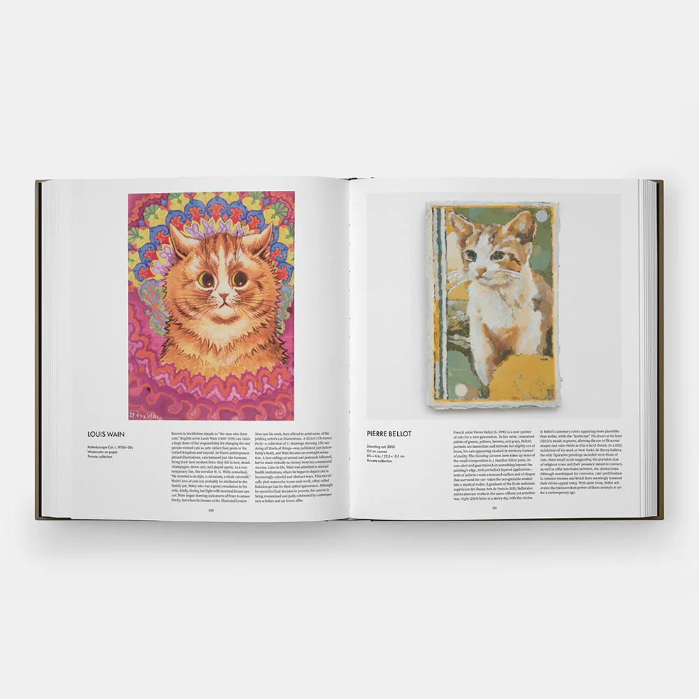Cat - Image 5