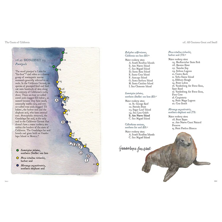 The Coasts of California: A California Field Atlas - Image 6