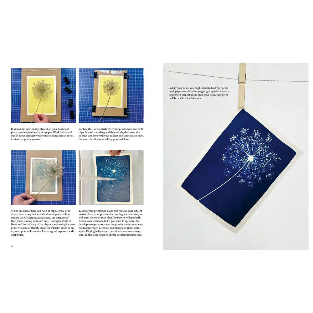 Cyanotype: Learn in a Weekend - Image 3