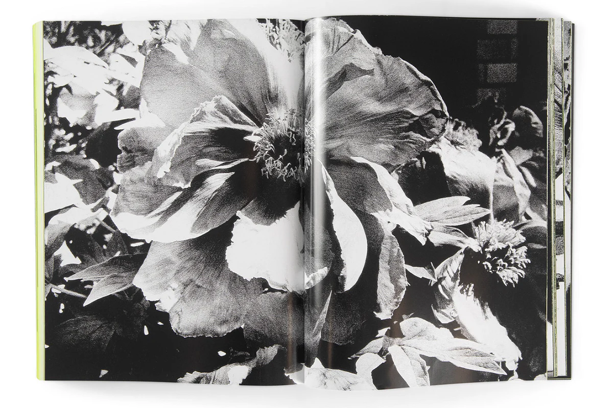 Daido Moriyama: Quartet - Image 2