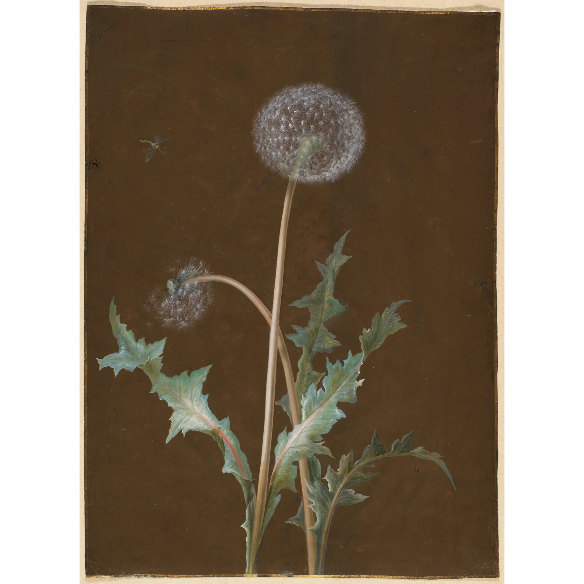Dandelion Vase Graphic Tee - Black - Image 12