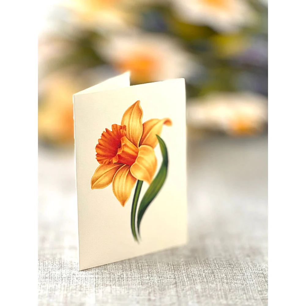 English Daffodils Pop-up Notecard - Image 4