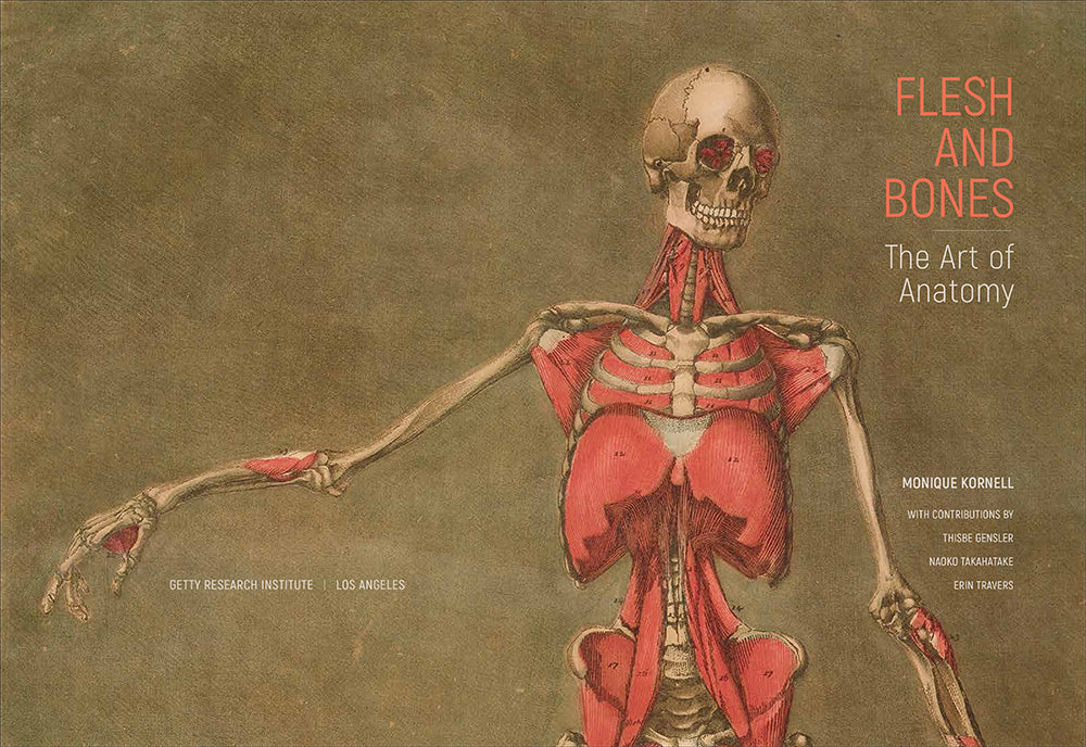 Flesh and Bones: The Art of Anatomy - Image 2