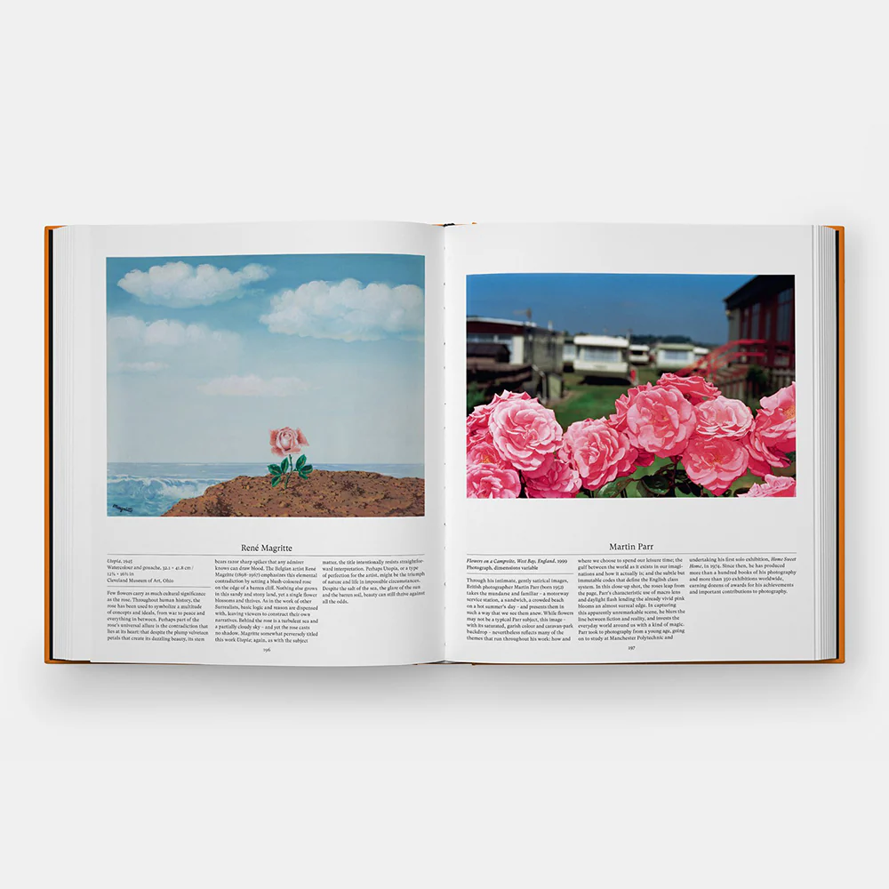 Flower: Exploring the World in Bloom - Image 4