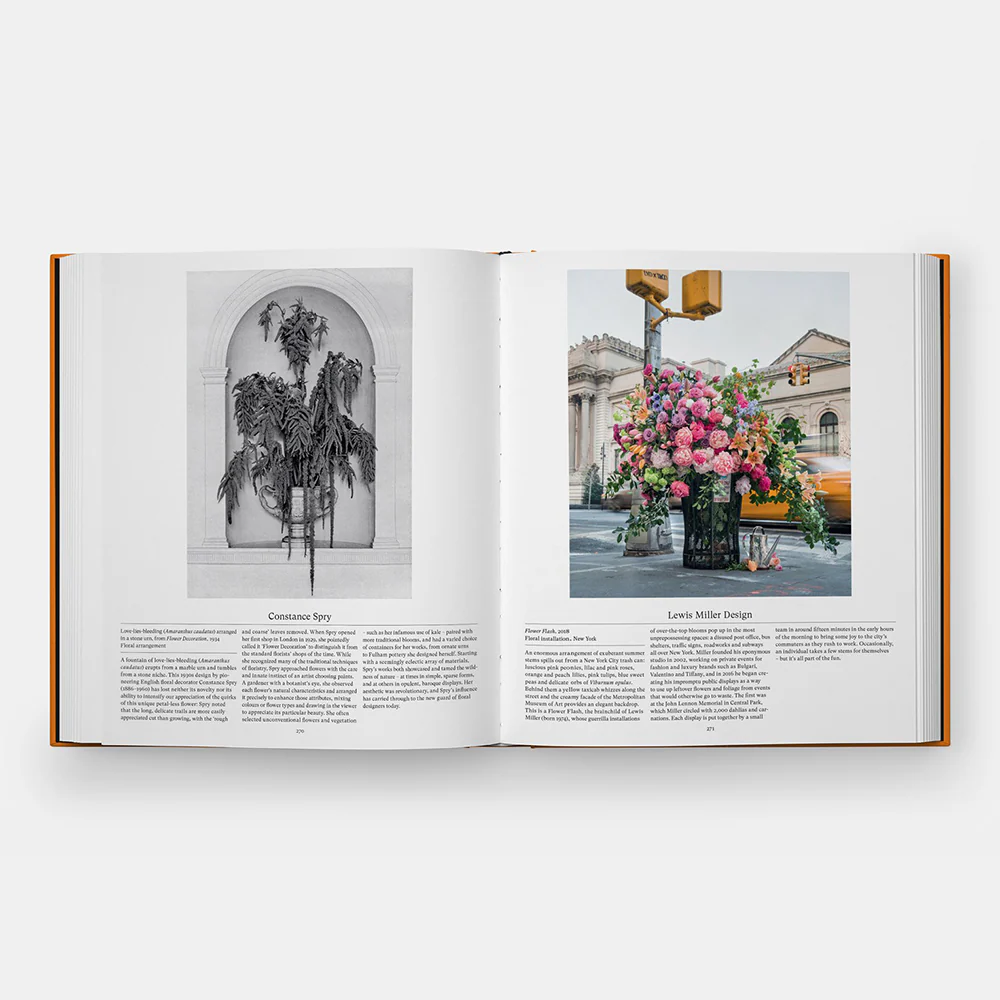 Flower: Exploring the World in Bloom - Image 5