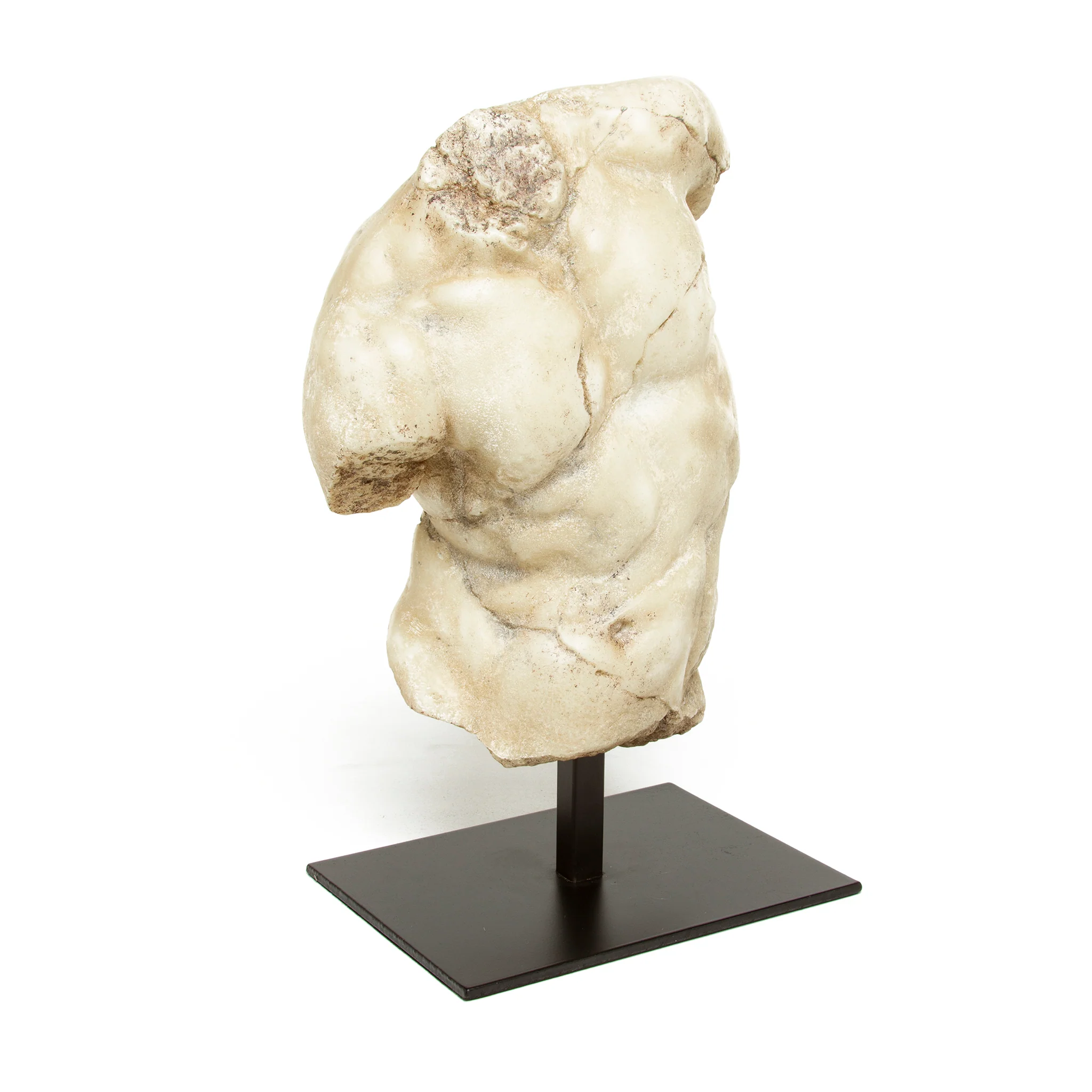 Torso of Apollo Reproduction