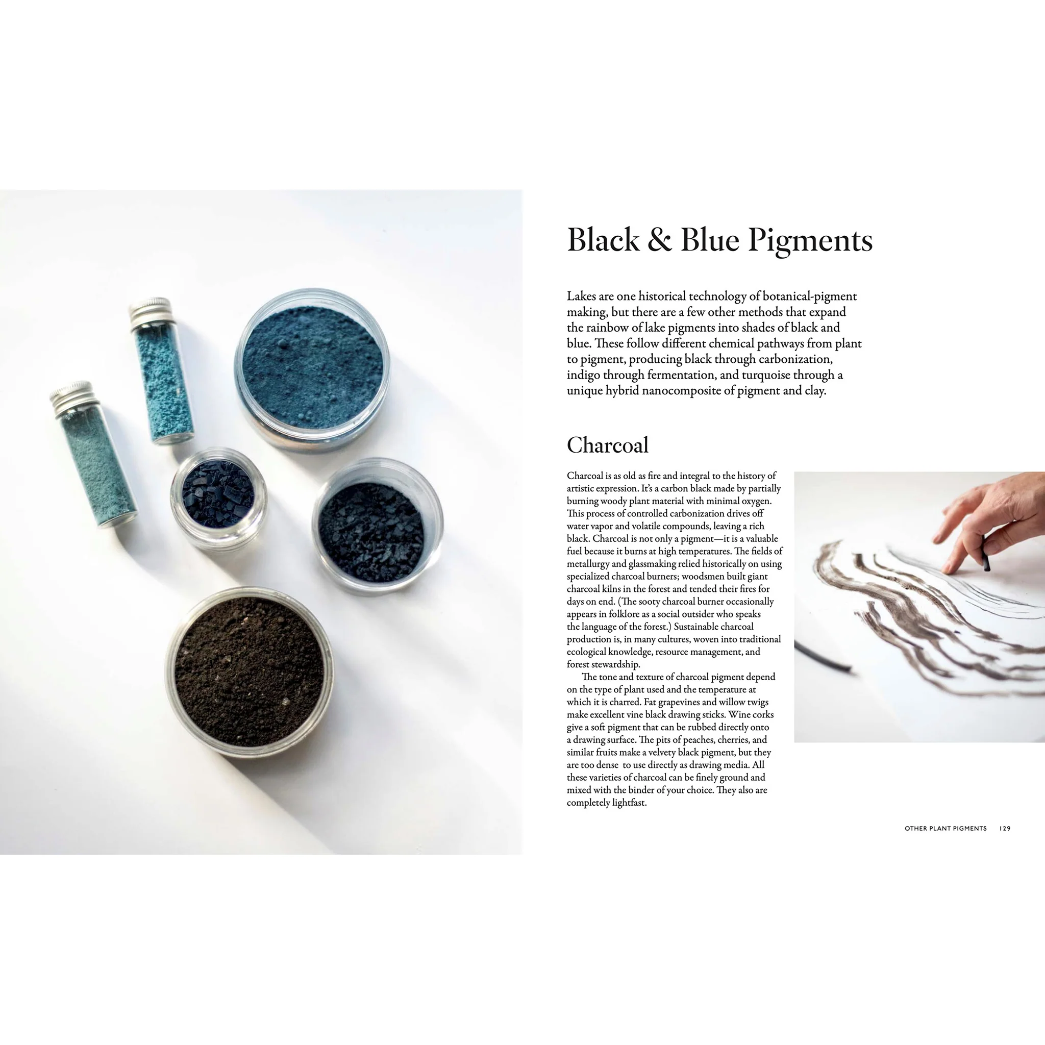 From Plant to Pigment: How to make your own vibrant inks, pastels and paints - Image 3