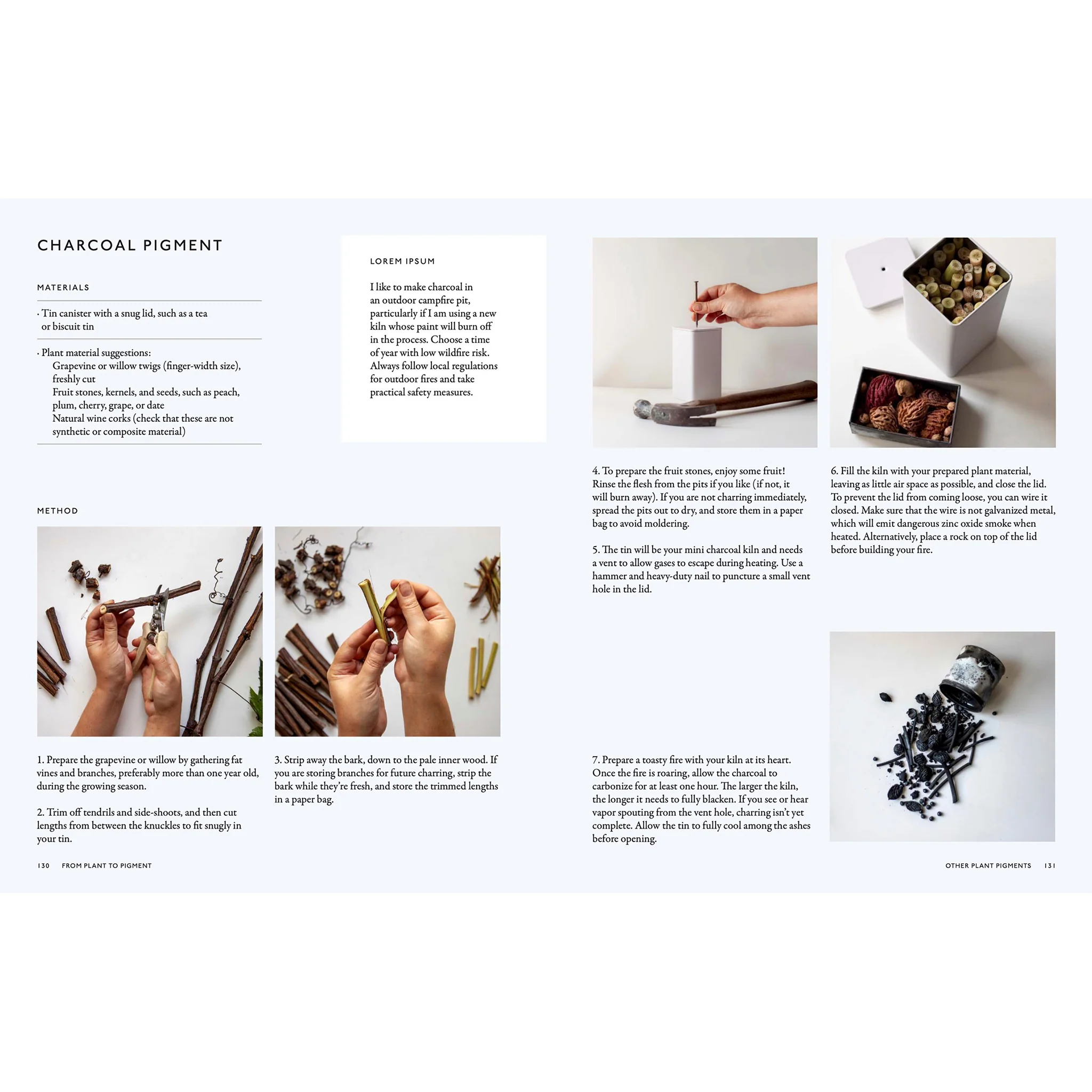 From Plant to Pigment: How to make your own vibrant inks, pastels and paints - Image 4