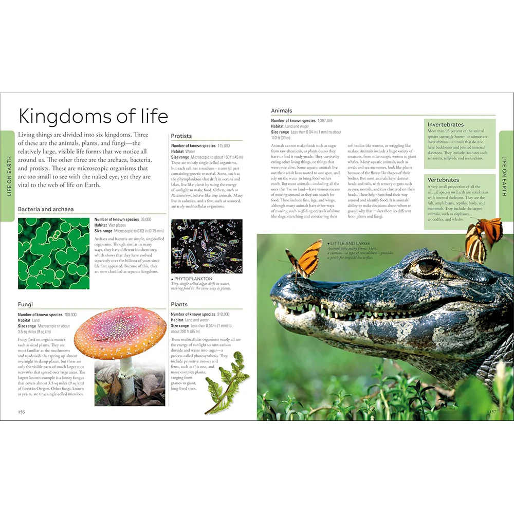 Geography: A Visual Encyclopedia - Image 4
