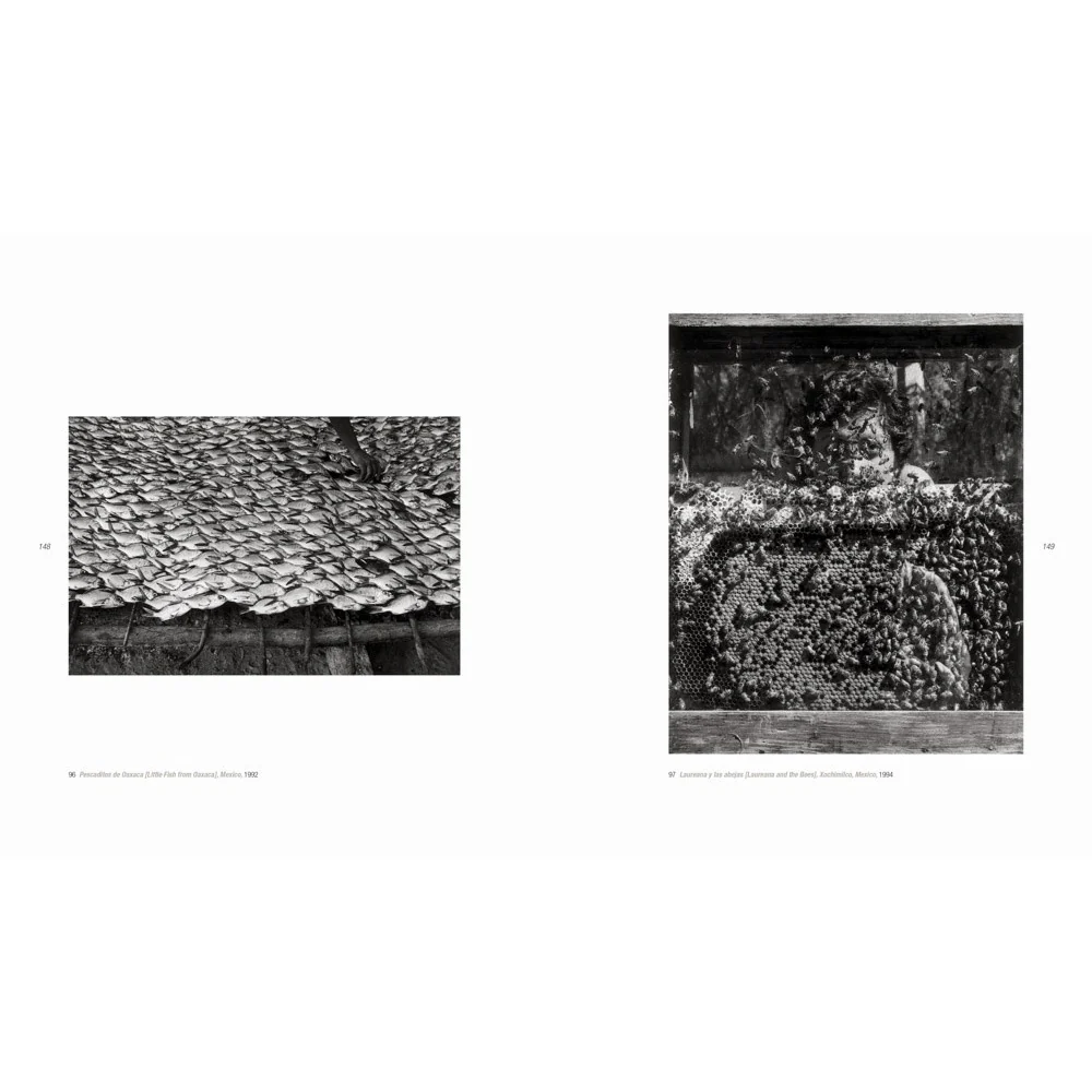 Graciela Iturbide - Image 4