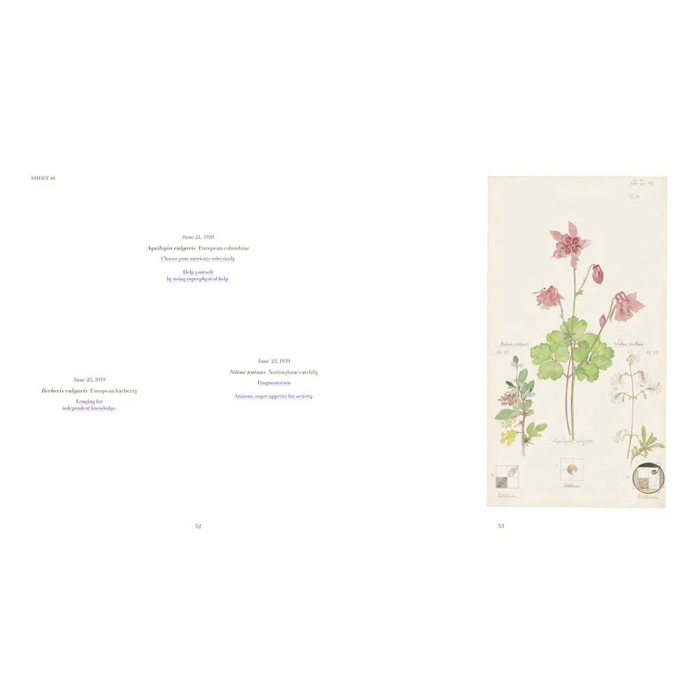 Hilma af Klint: What Stands Behind the Flowers - Image 2