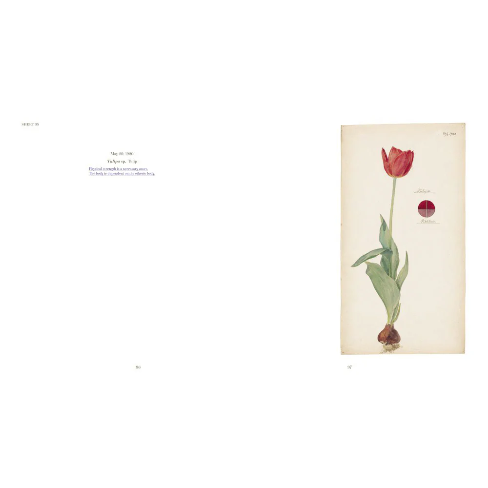 Hilma af Klint: What Stands Behind the Flowers - Image 3