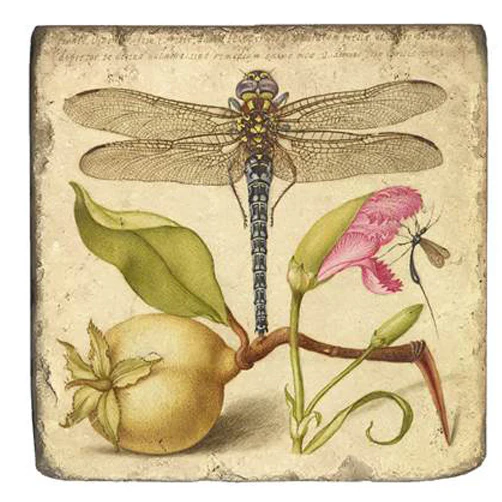 Joris Hoefnagel Magnet - Image 2