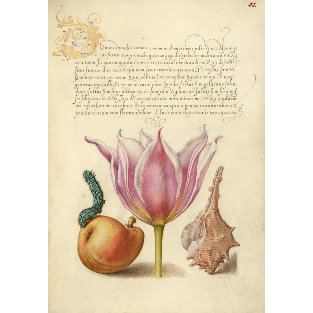Joris Hoefnagel Coasters - Image 10