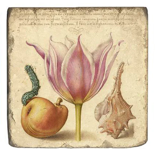 Joris Hoefnagel Coasters - Image 3