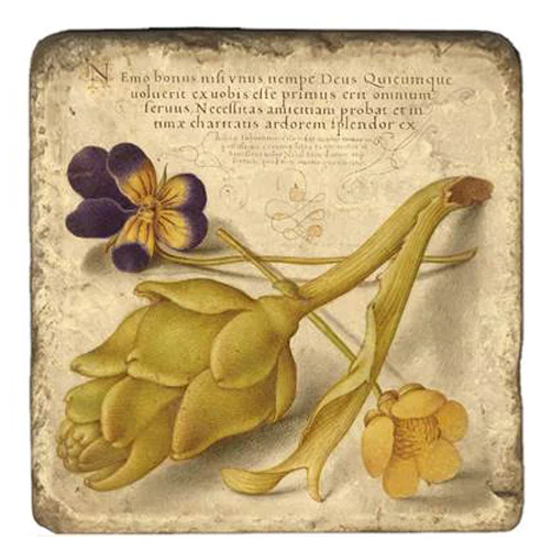 Joris Hoefnagel Coasters - Image 4