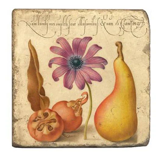 Joris Hoefnagel Coasters - Image 5