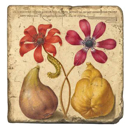 Joris Hoefnagel Coasters - Image 6