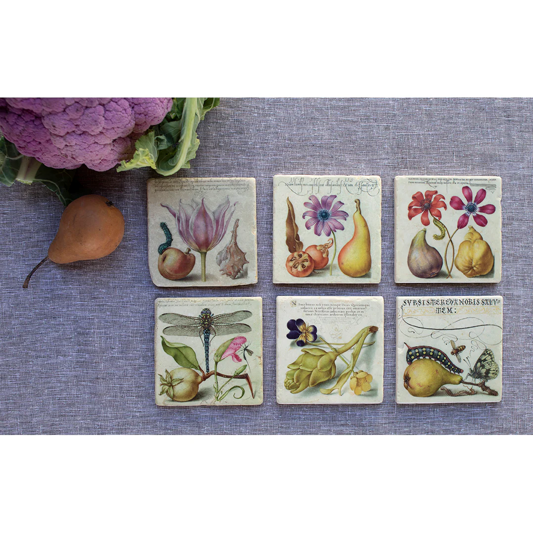 Joris Hoefnagel Coasters - Image 8