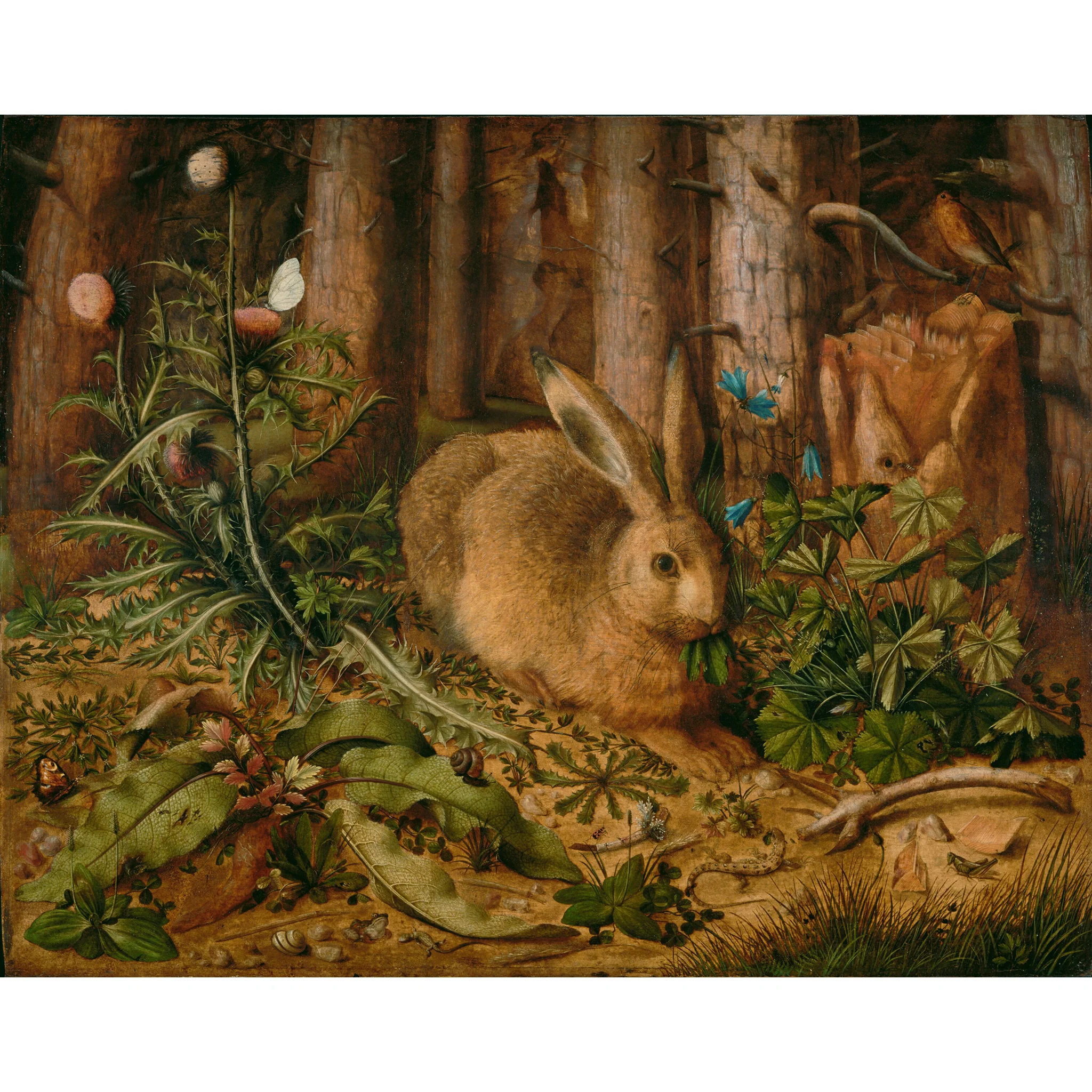 Hoffmann Hare in the Forest Music Box - Image 3