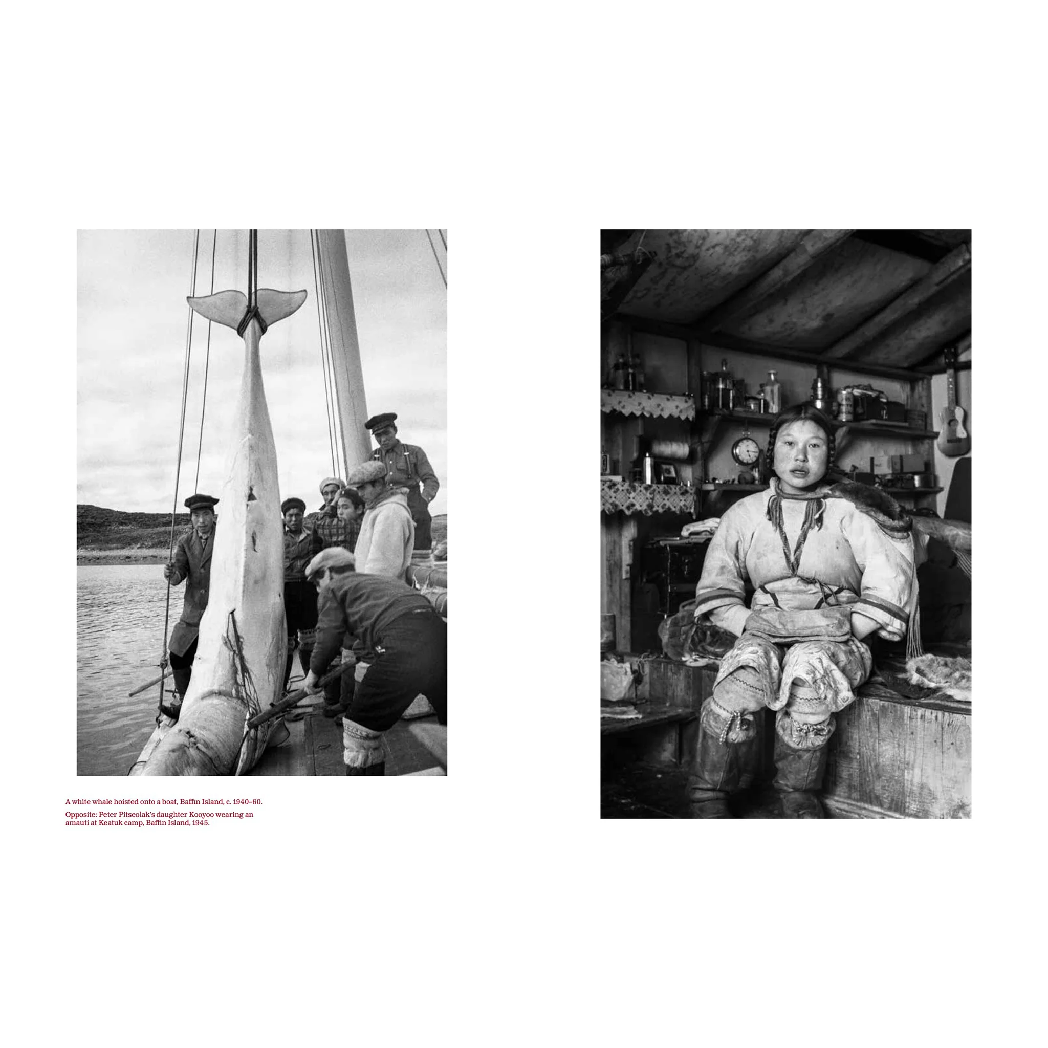 In Light and Shadow: A Photographic History from Indigenous America - Image 2