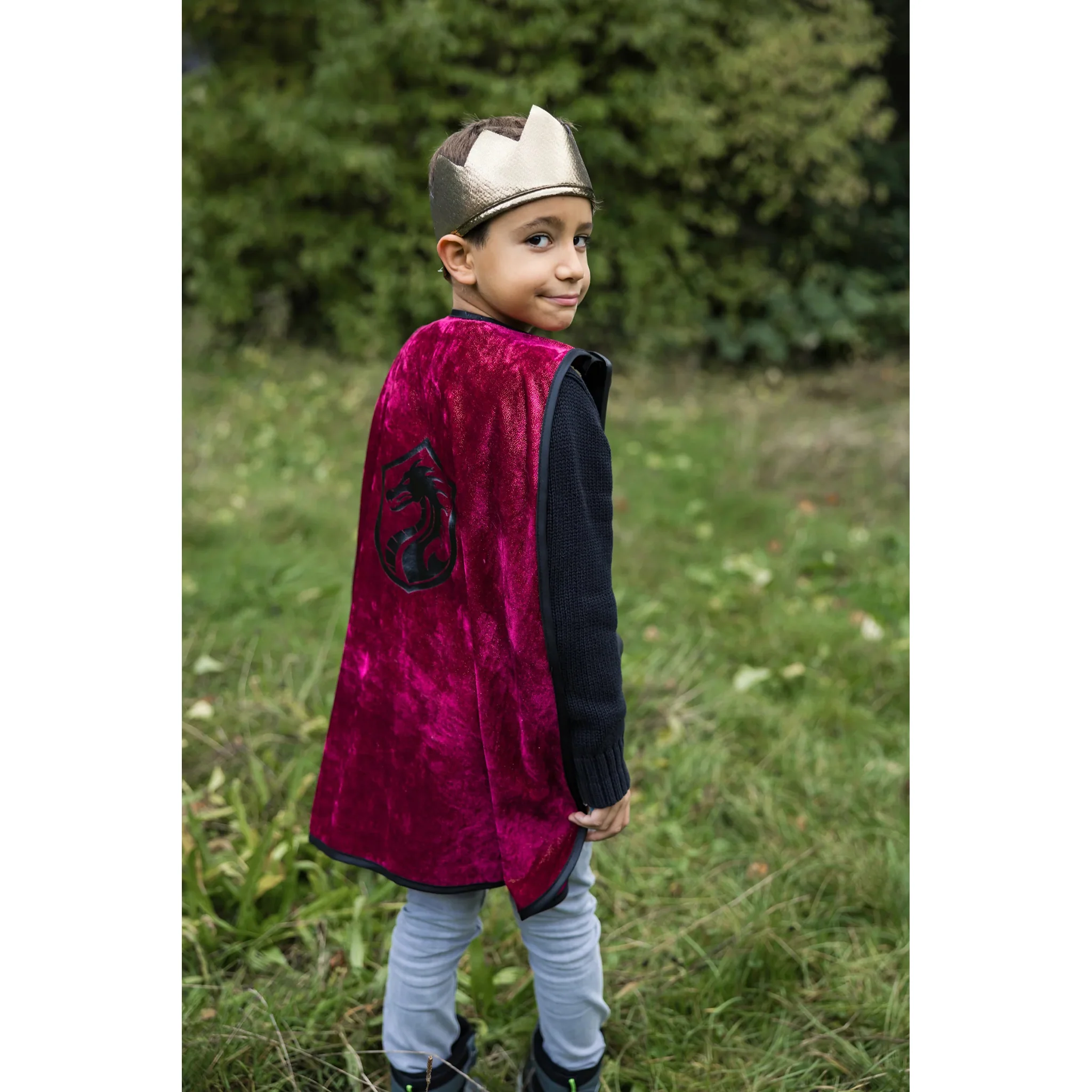 Legendary Knight Cape, Chest Plate & Crown - Image 4