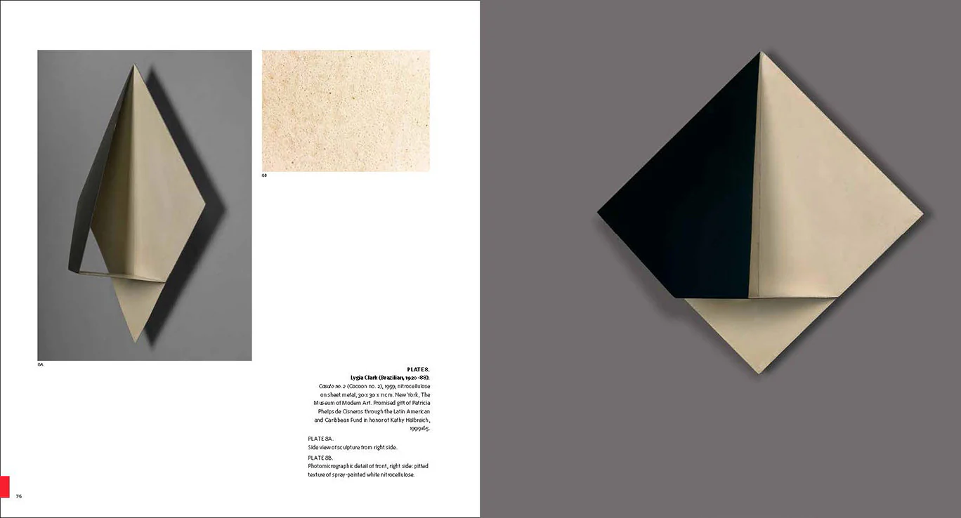 Making Art Concrete: Works from Argentina and Brazil in the Colección Patricia Phelps de Cisneros - Image 2