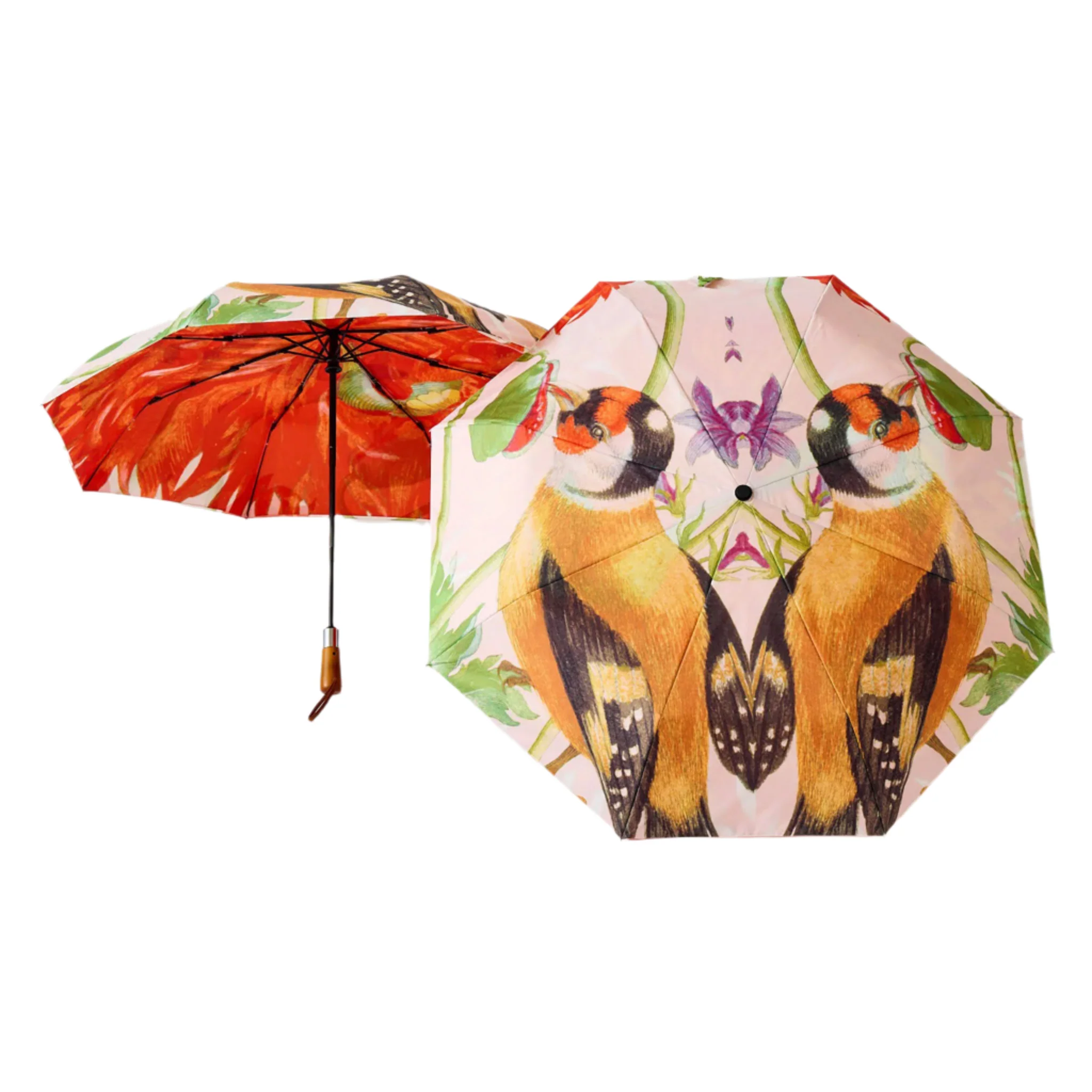 Maria Sibylla Merian Umbrella