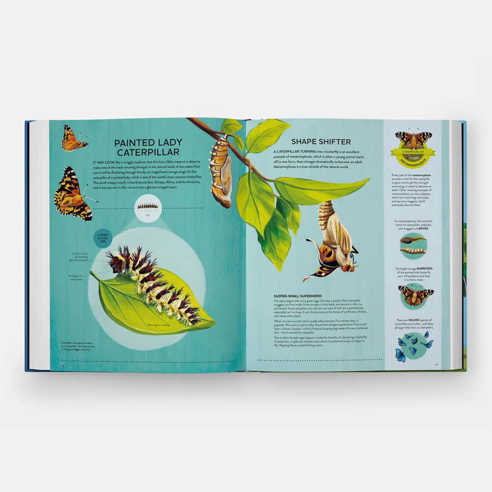 Natures Tiny Champions: The Big Book of Little Creatures Doing Mighty Things - Image 4