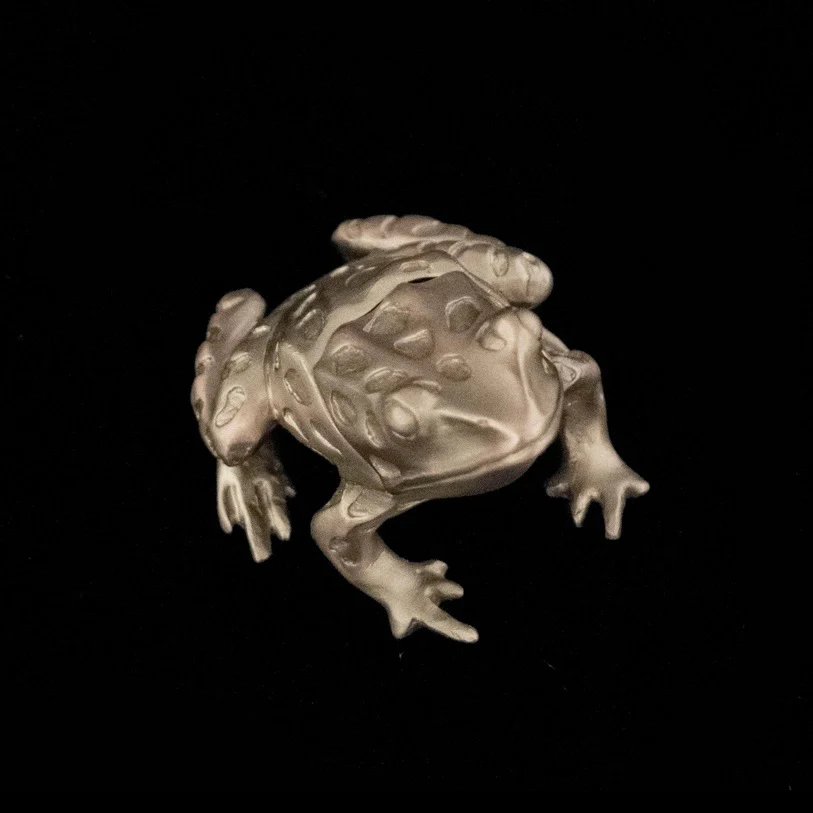 Pewter Leopard Frog Box - Image 2