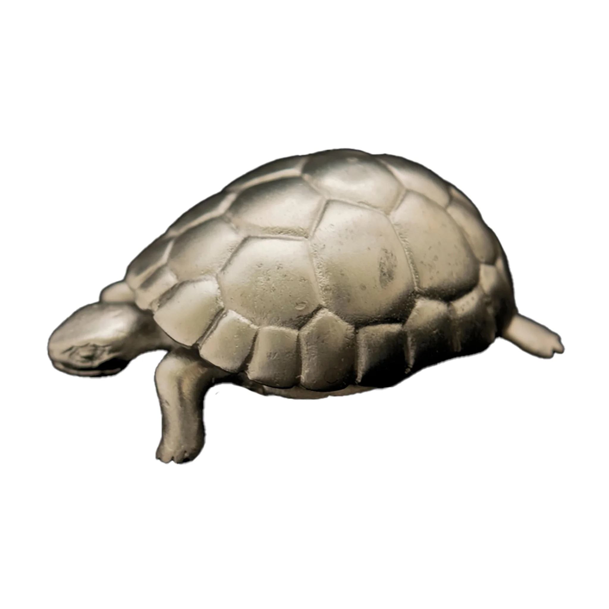 Pewter Tortoise Box