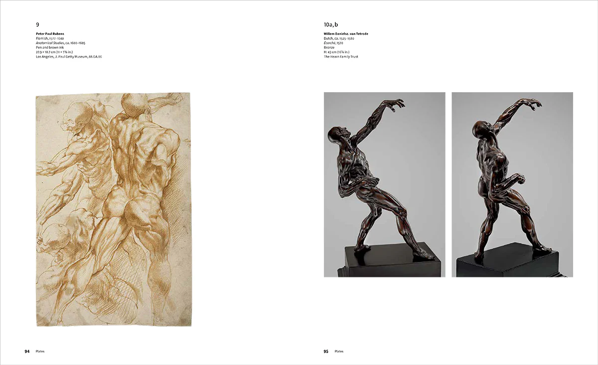 Rubens: Picturing Antiquity - Image 5