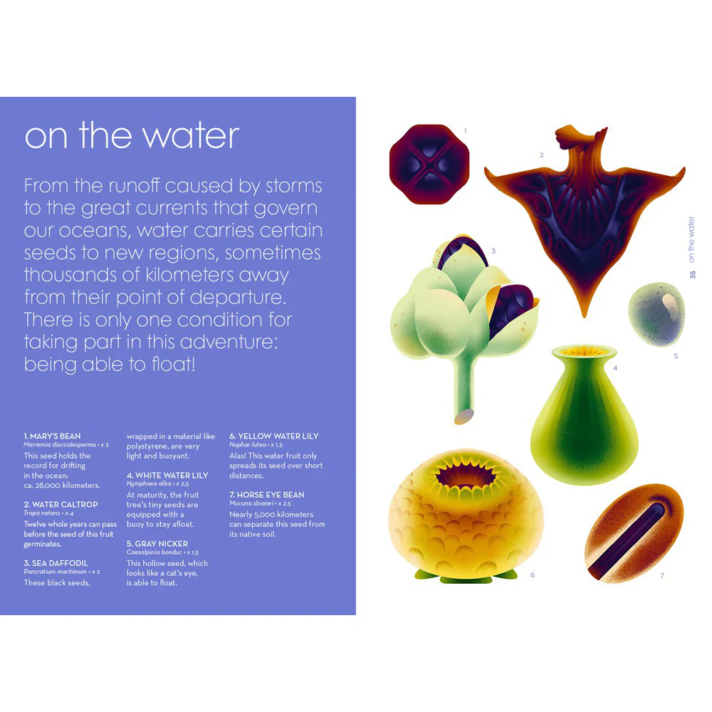 Seeds: Nature's Intrepid Miracles - Image 2