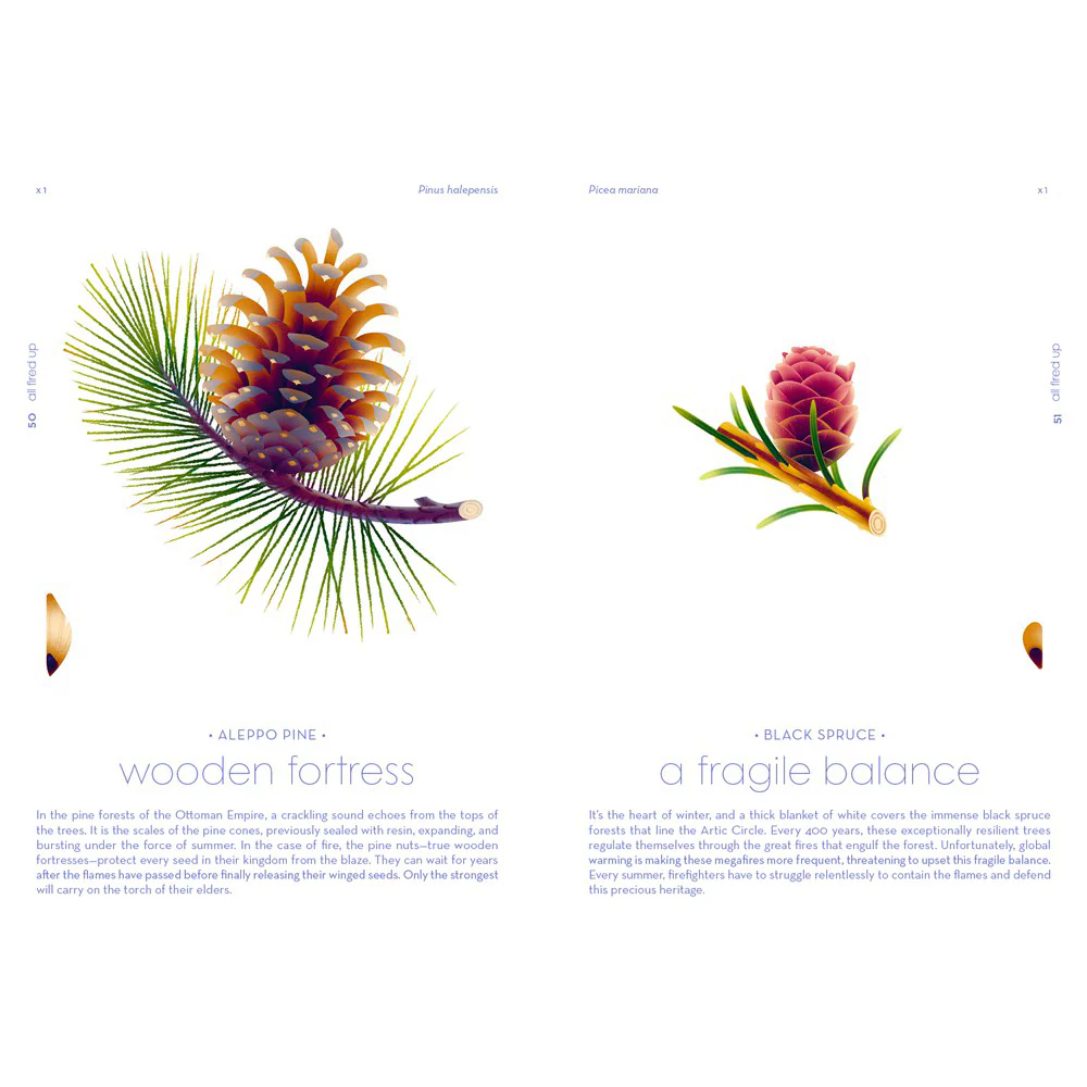 Seeds: Nature's Intrepid Miracles - Image 3
