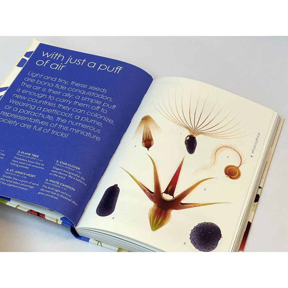 Seeds: Nature's Intrepid Miracles - Image 4