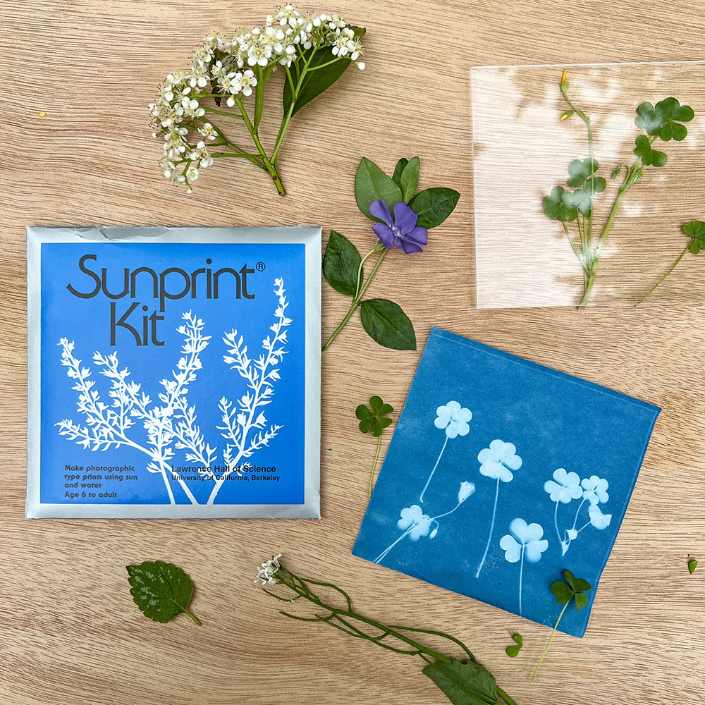 Sun Print Kit - Image 3