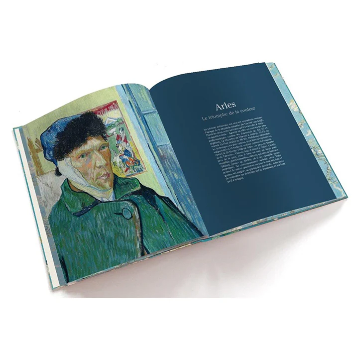 Van Gogh: The Bigger Picture - Image 2