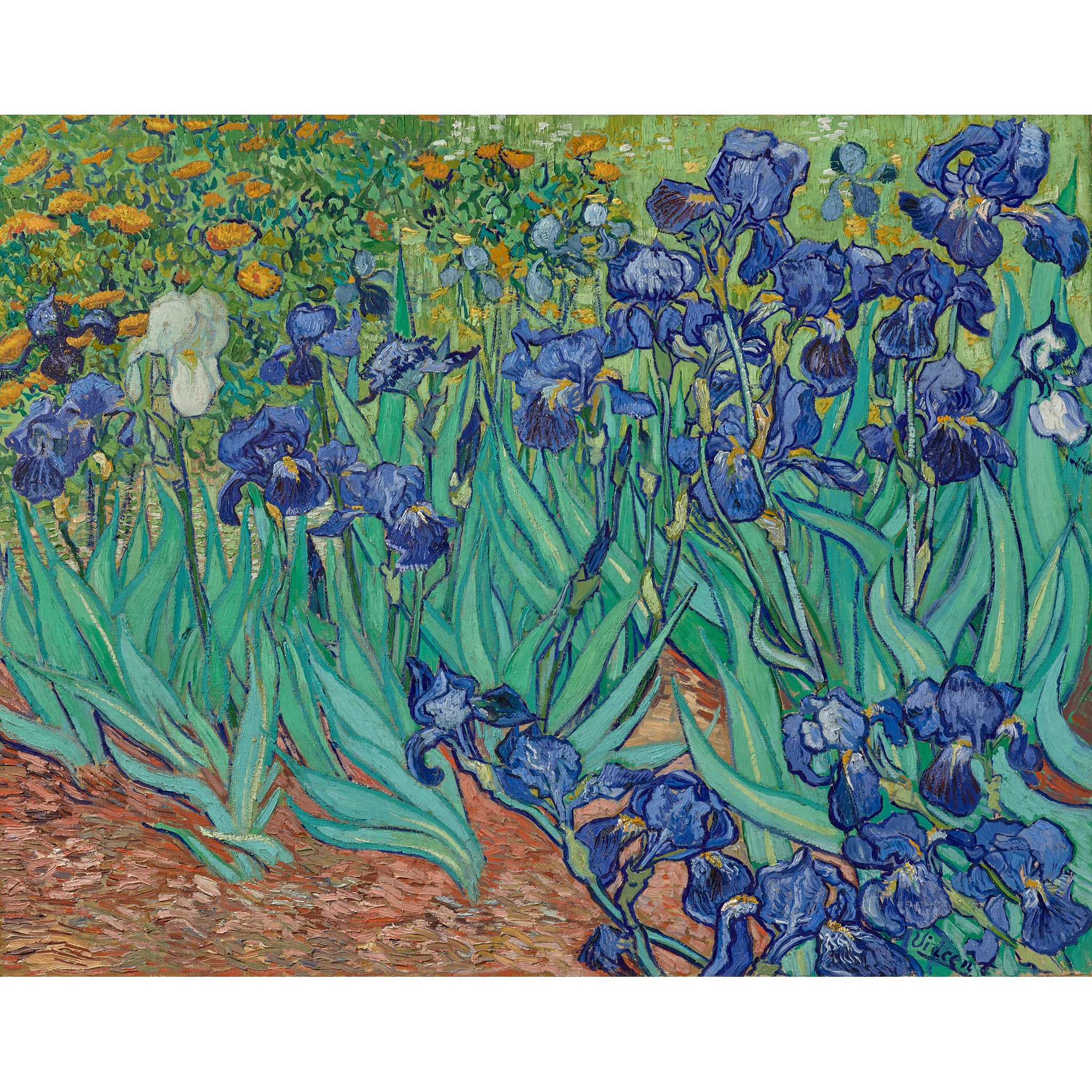 Van Gogh Irises - Pop-Up Card - Image 7