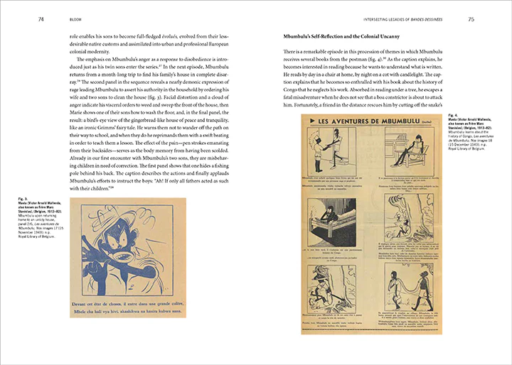 Visualizing Empire: Africa, Europe, and the Politics of Representation - Image 4